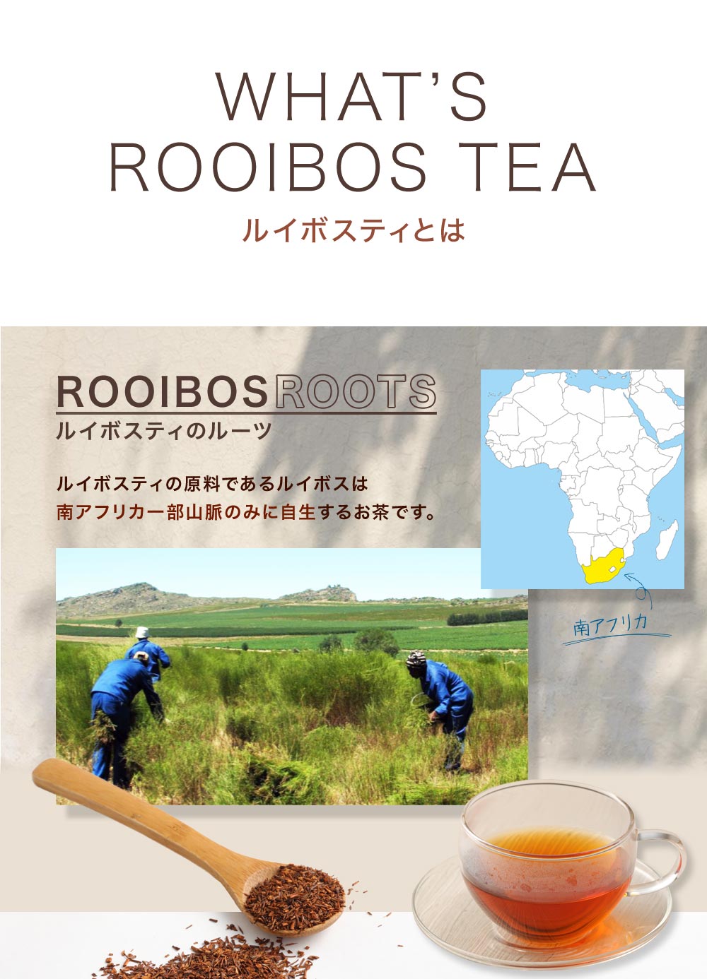 ルイボスティーページ organic_one_rooibos.jpg?v=