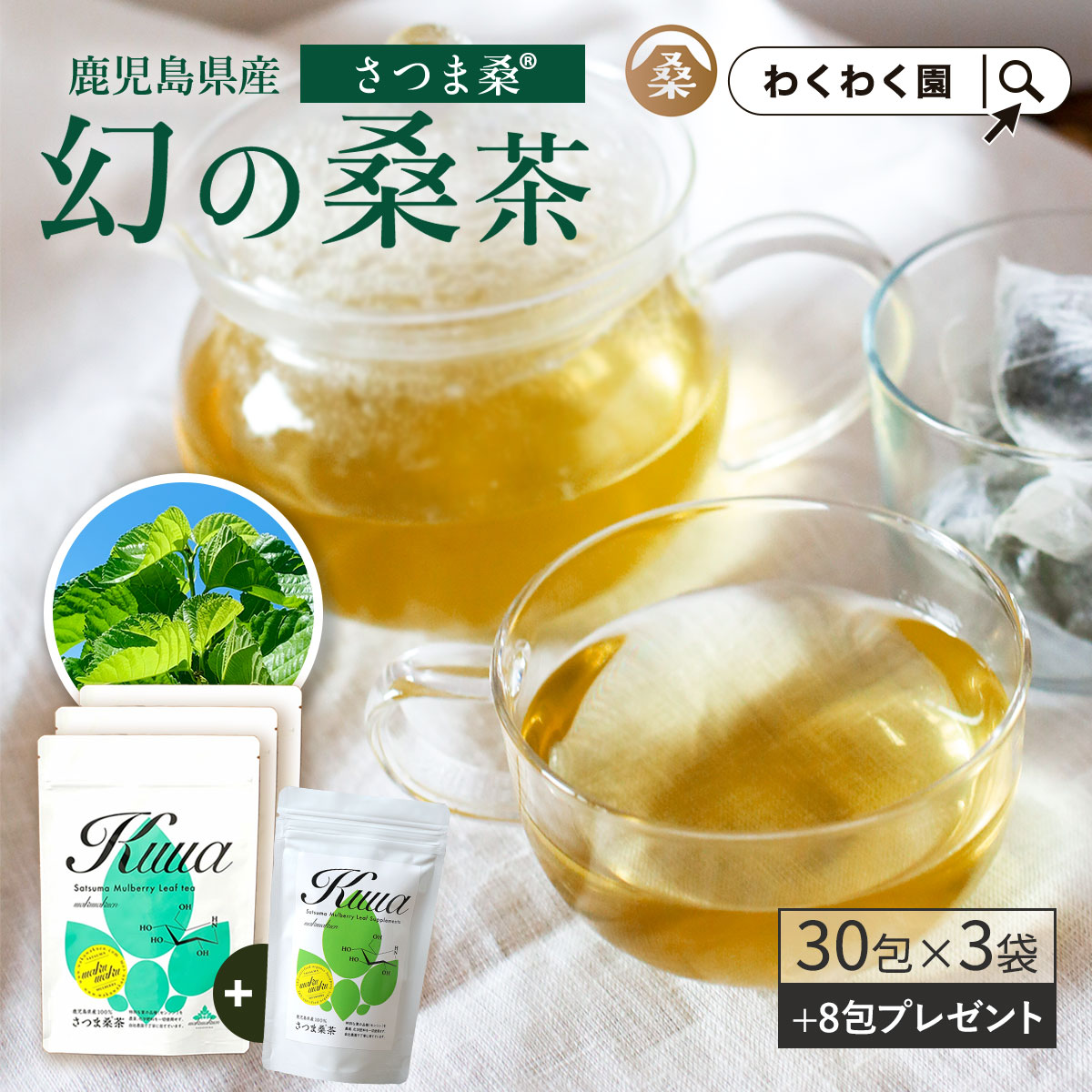 (さつま桑茶 30包3袋 (2g×30)x3) ※1週間分のおまけ  桑の葉茶  桑 お茶 健康 対策 制限 ノンカフェイン 国産 桑の葉 ティーバッグ くわ 温活 桑葉