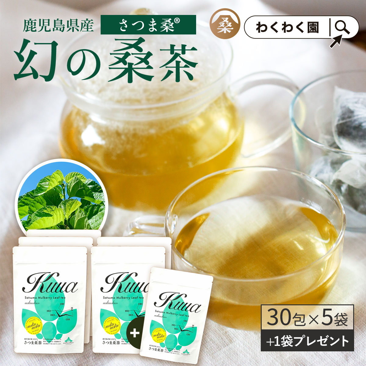 (さつま桑茶 30包5袋 (2g×30)x5 ) ※1袋おまけ 桑の葉茶  桑 お茶 健康 対策 制限 ノンカフェイン 国産 桑の葉 ティーバッグ くわ 温活 桑葉